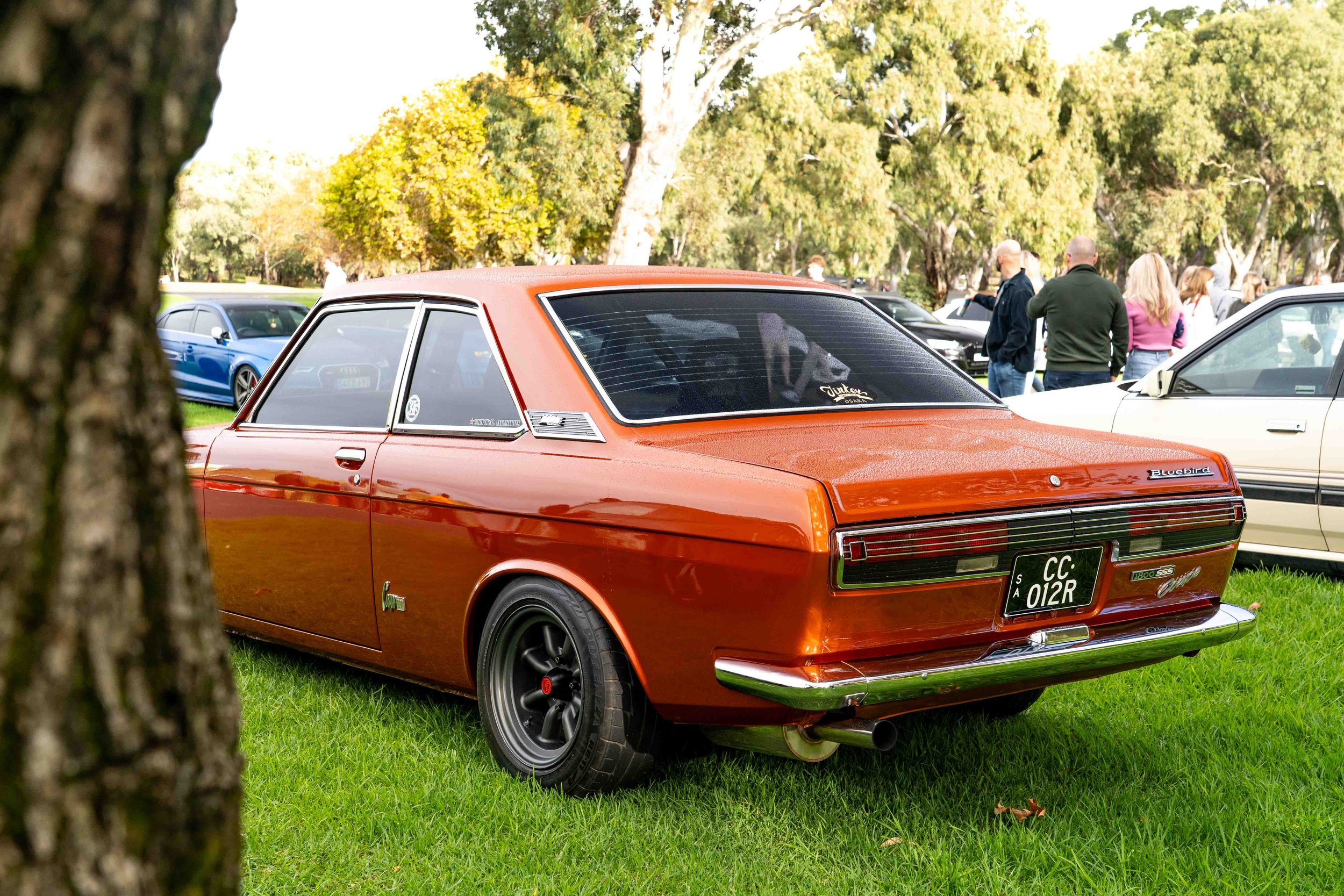 Vic Park Pitstop Apr 2025-10.jpg