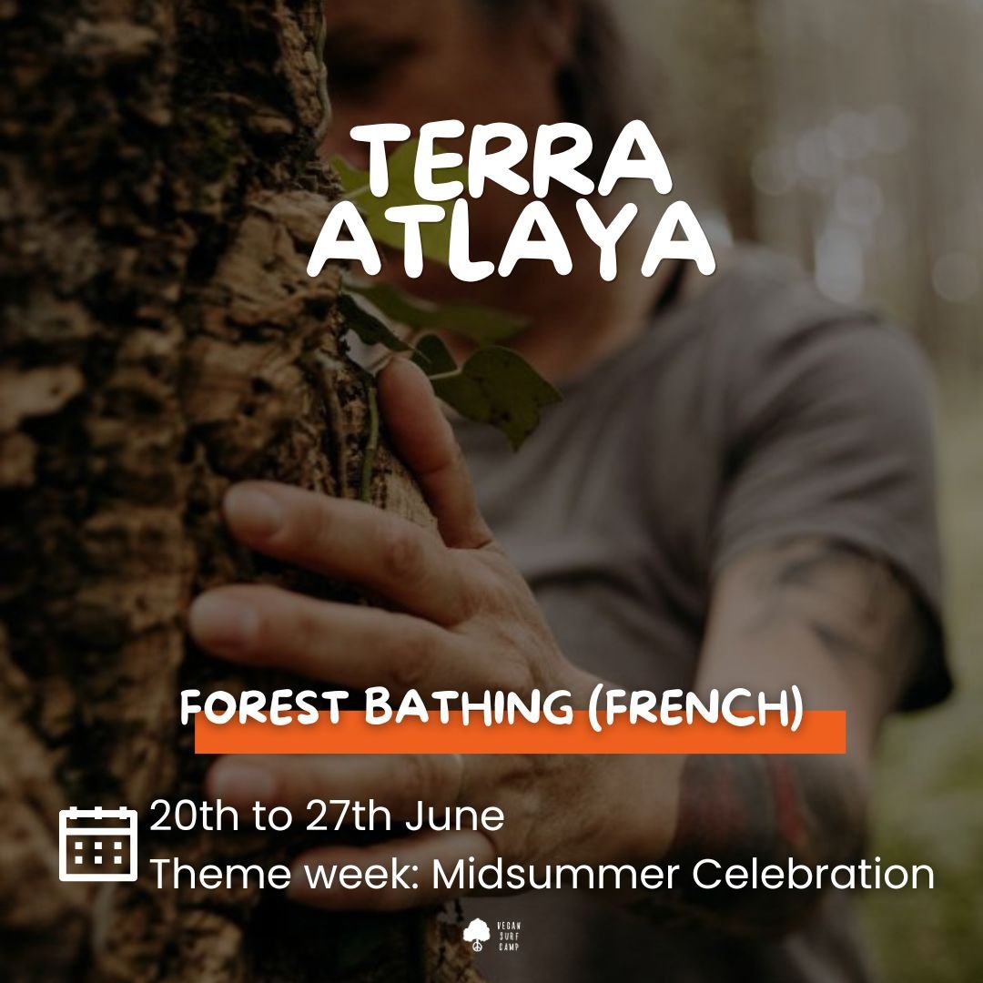 Forest Bathing @ Vegan Surf Camp
