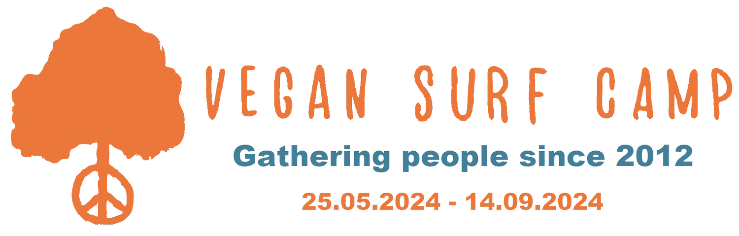 Vegan Surf Camp