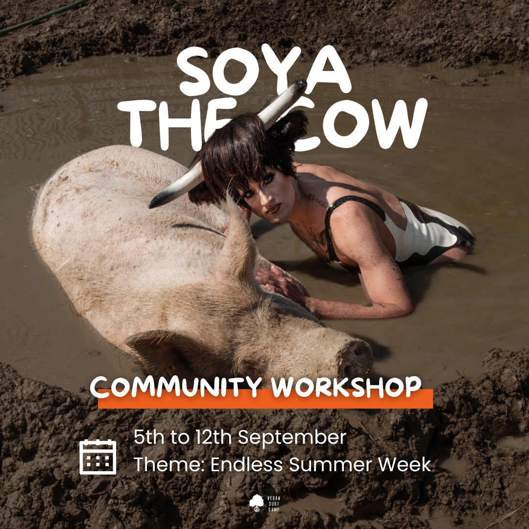 Soya the Cow - Vegan Surf Camp