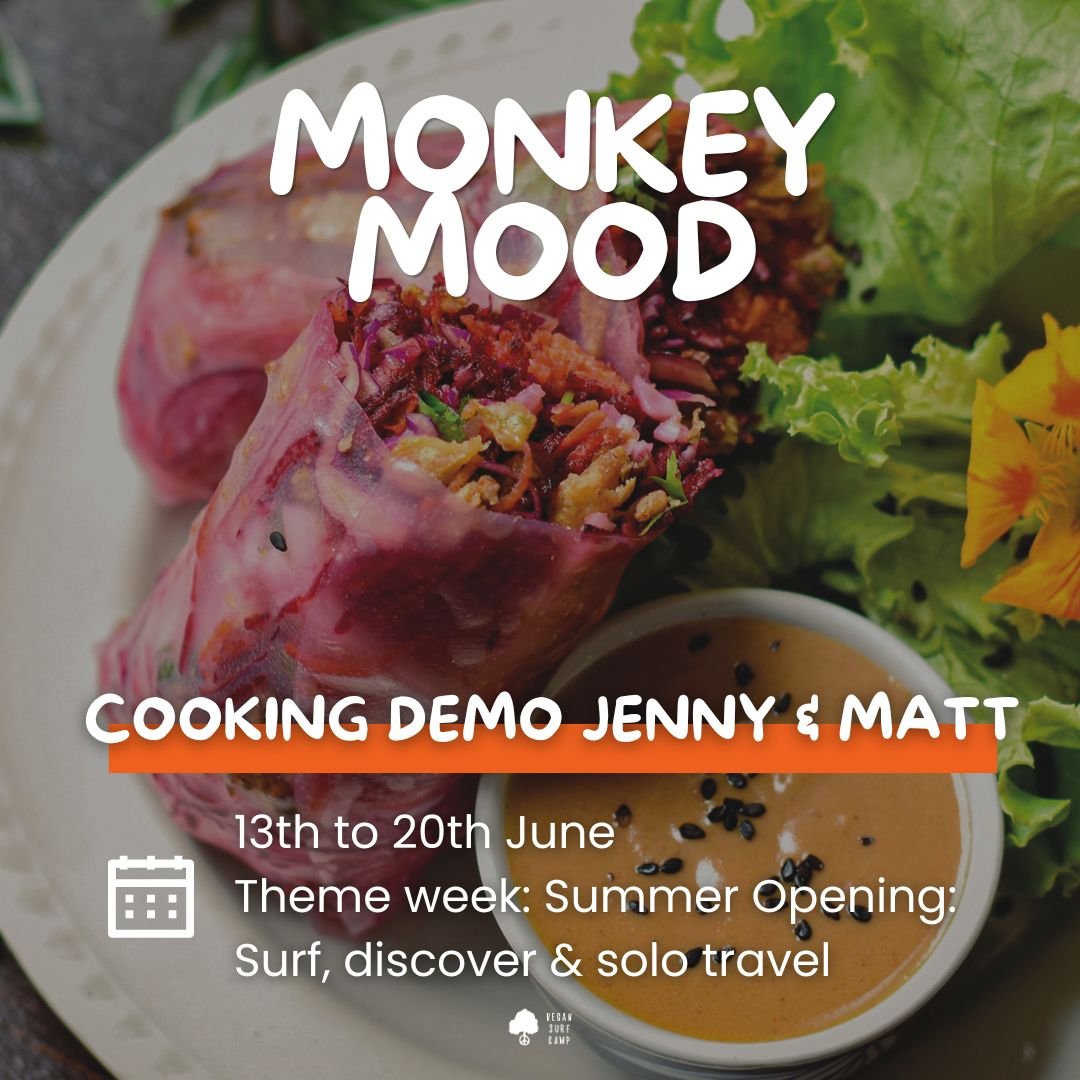 Monkey Mood - Vegan Surf Camp