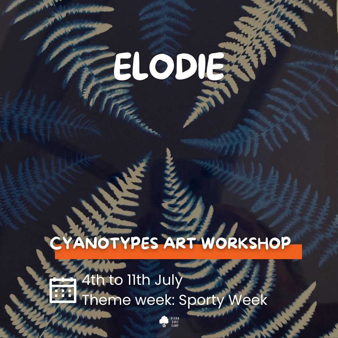 Cyanotypes @ Vegan Surf Camp