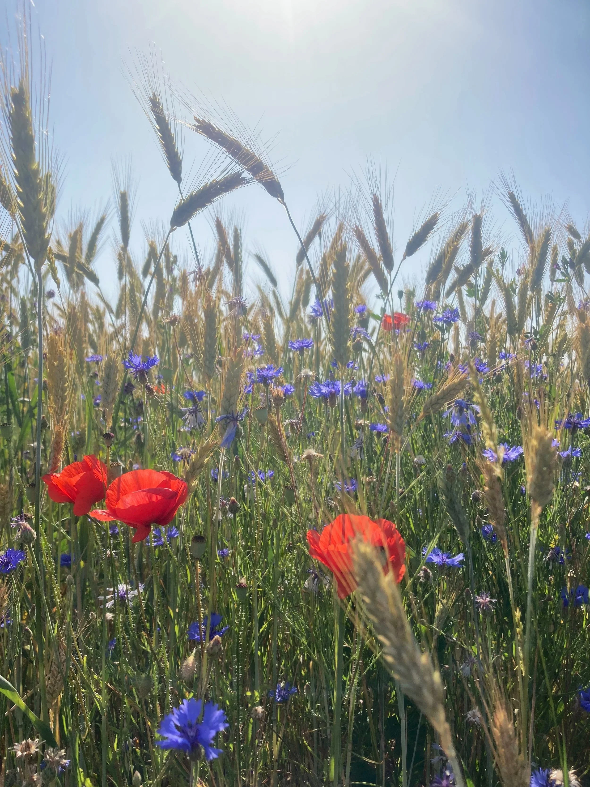 Fahrradtour Frauen Brandenburg