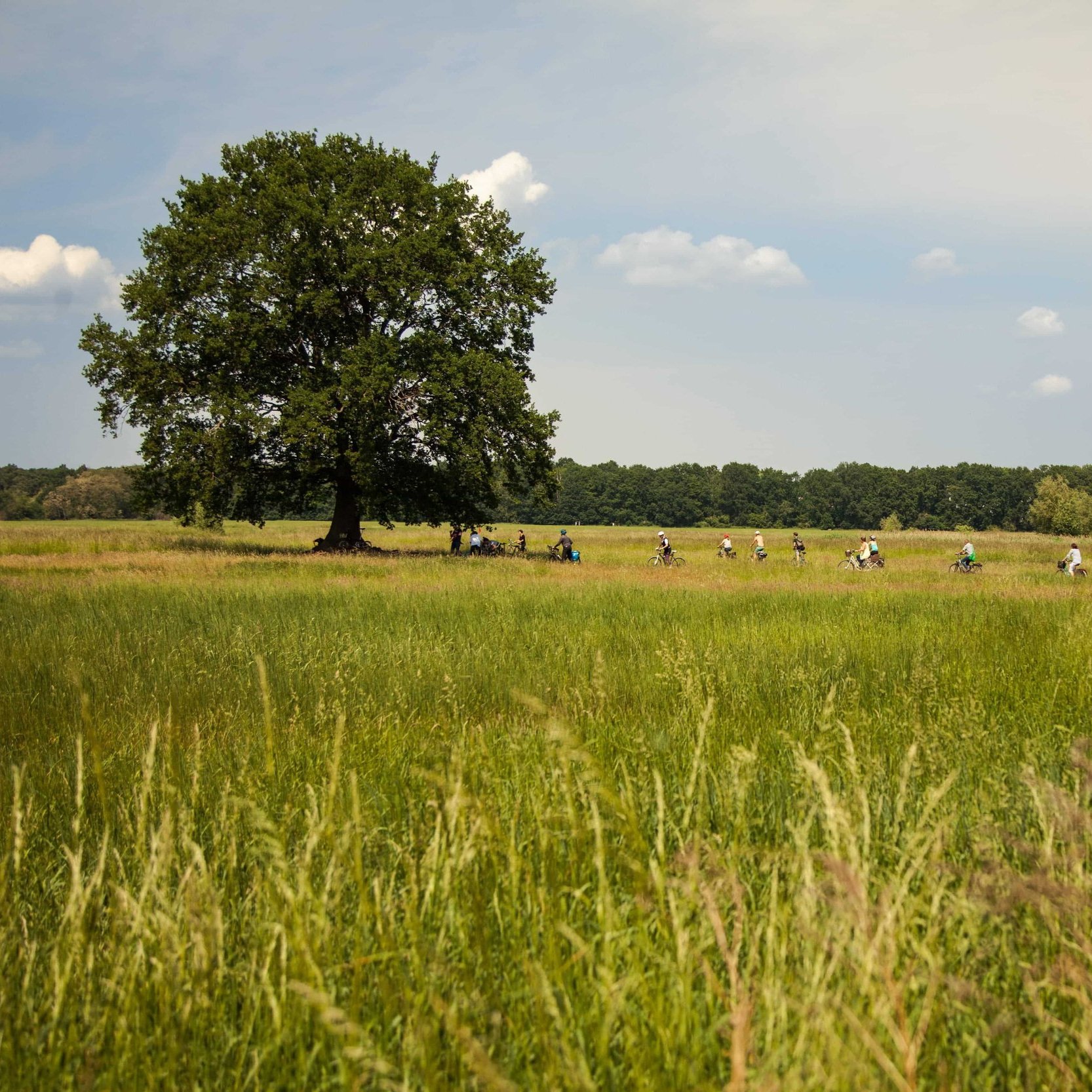 Gruppe Radtour Familien Brandenburg Ostern