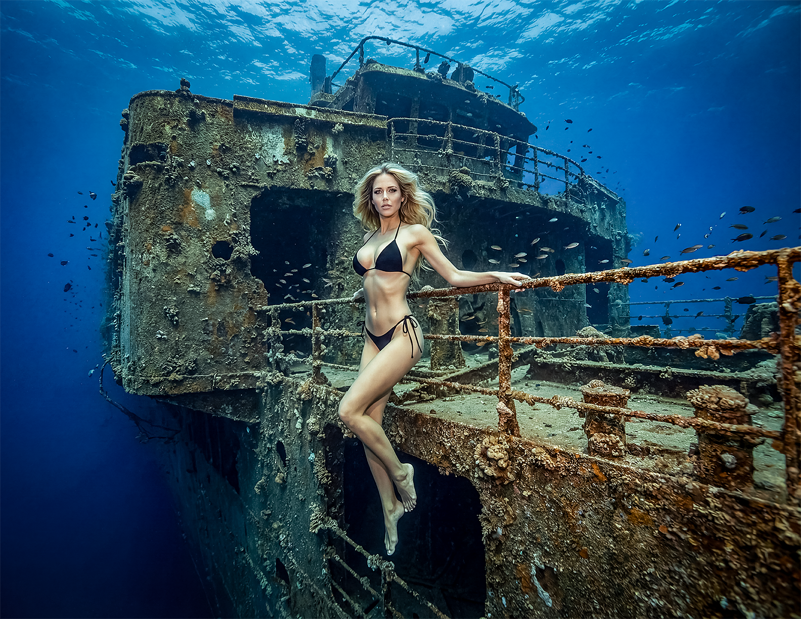 Avalon Shipwreck 3.png