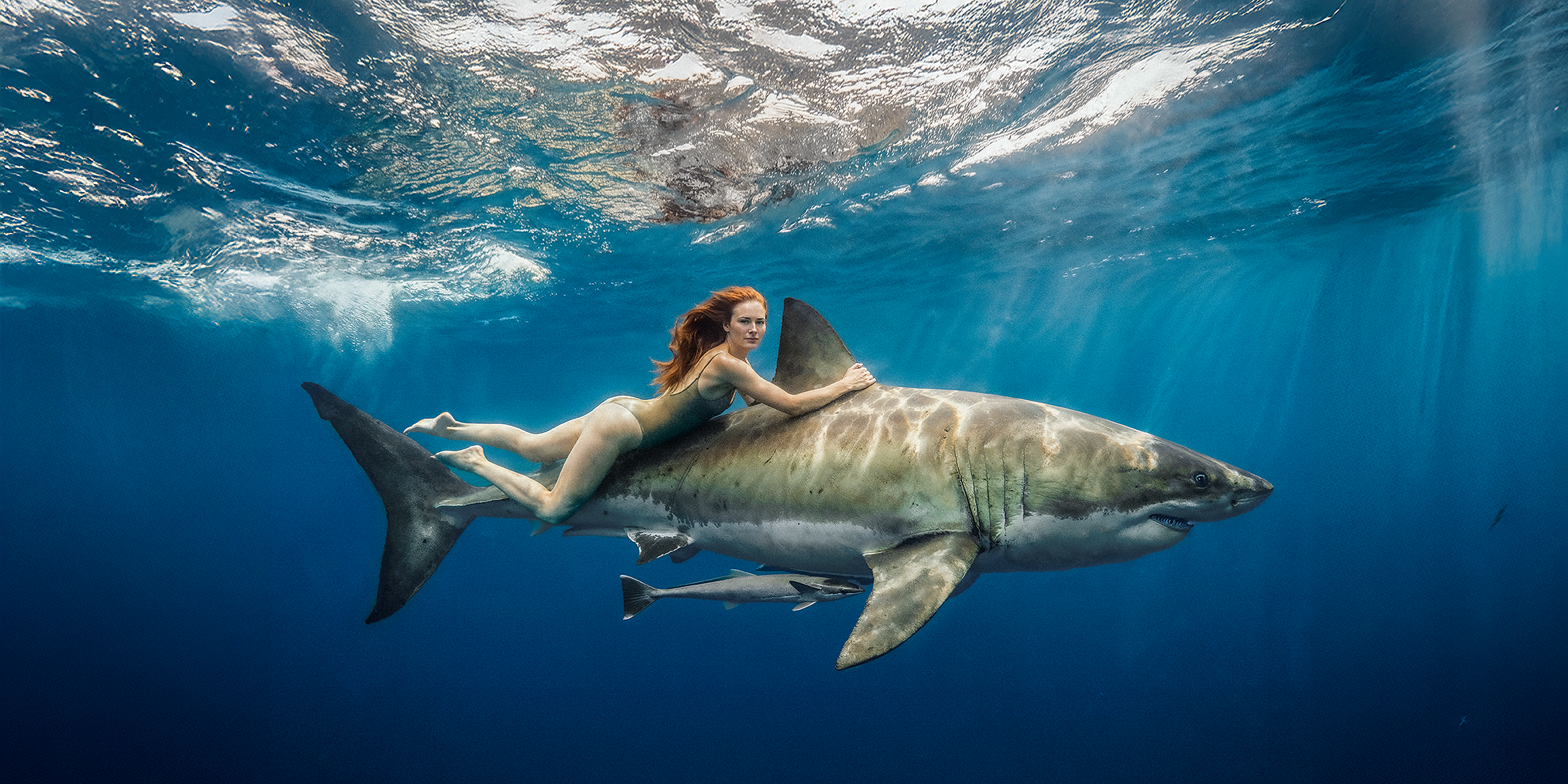 Erin OMalley Riding Great White Maillot 2to1 Ratio 72.png
