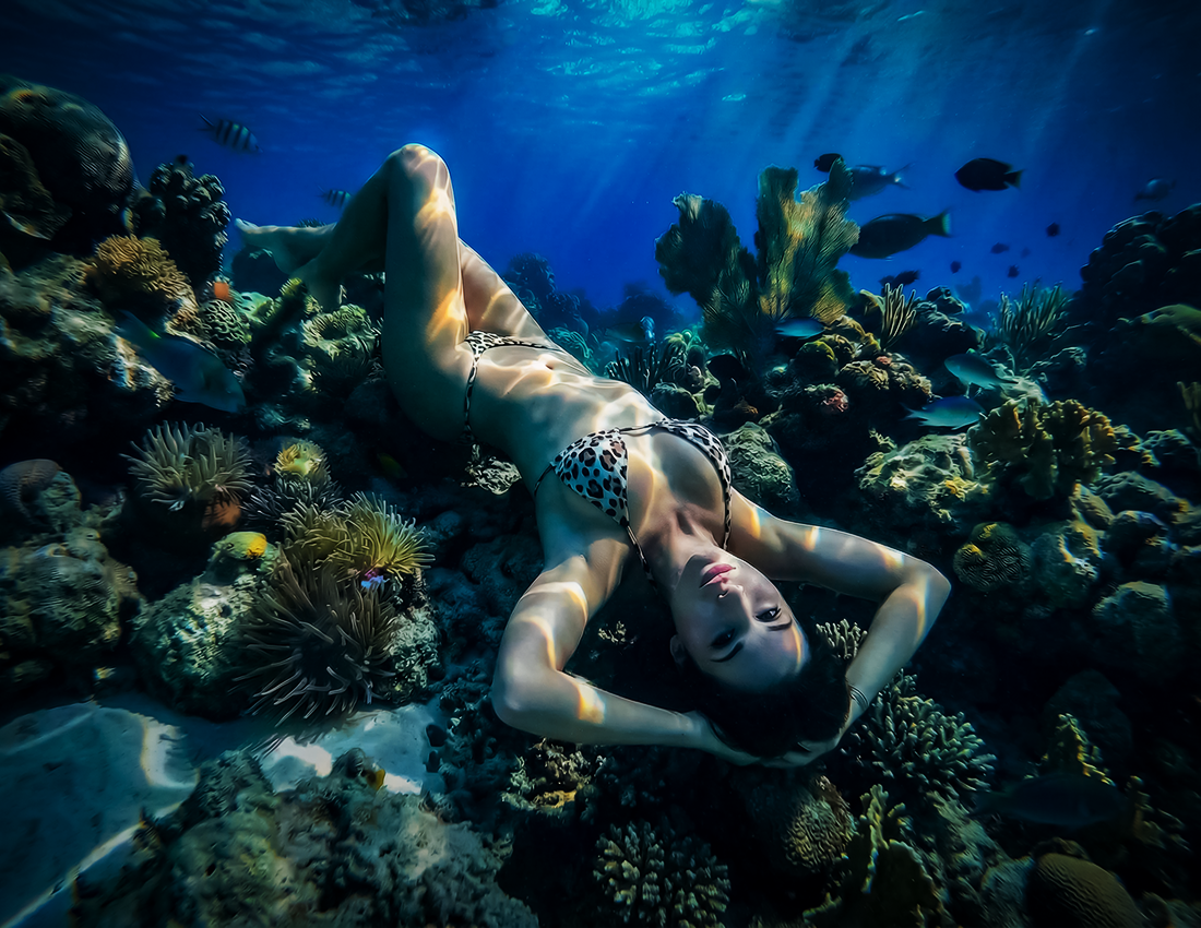 Robin layback on reef upside dowj.png
