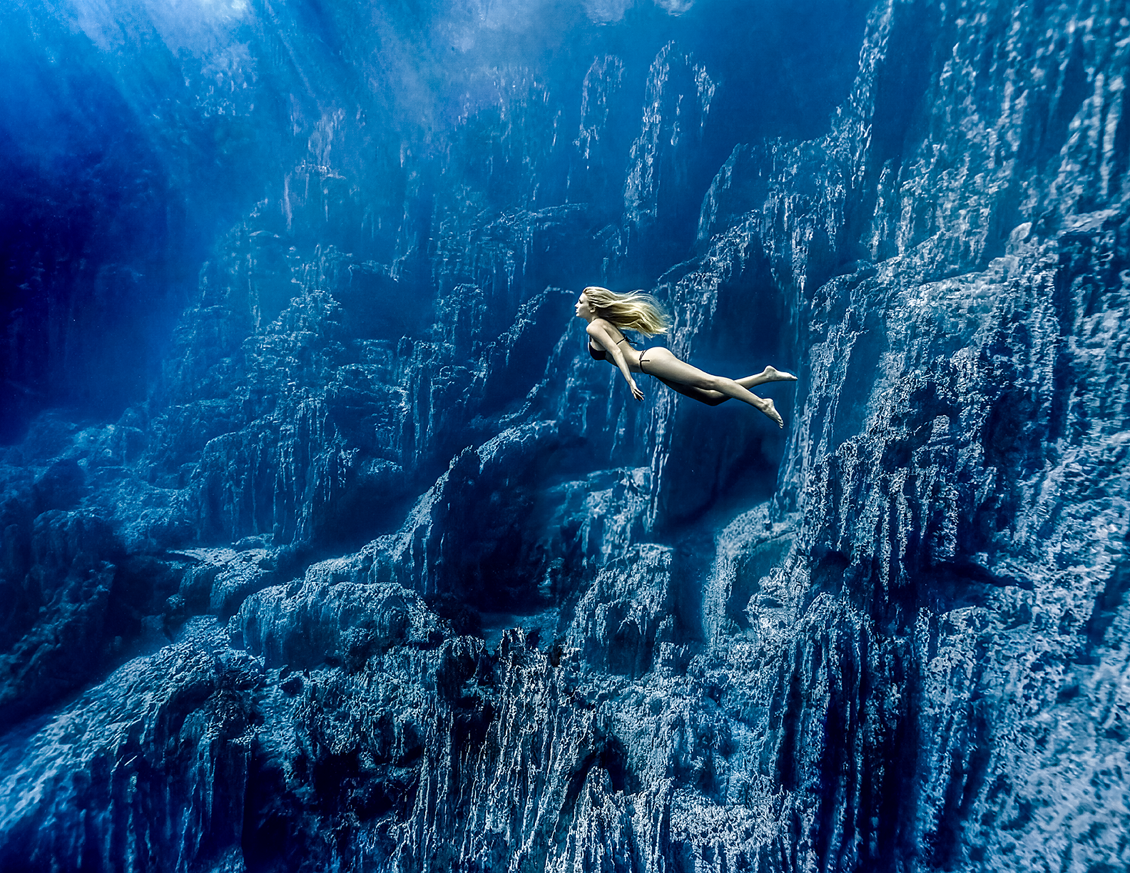 Avalon ArtDesign 10.png