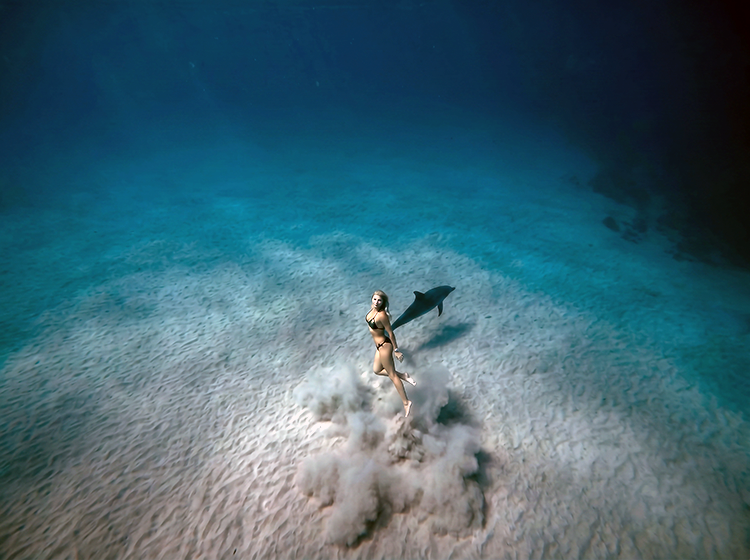magnific_no-bubbles.-dolphin-and-m_2951150139.png