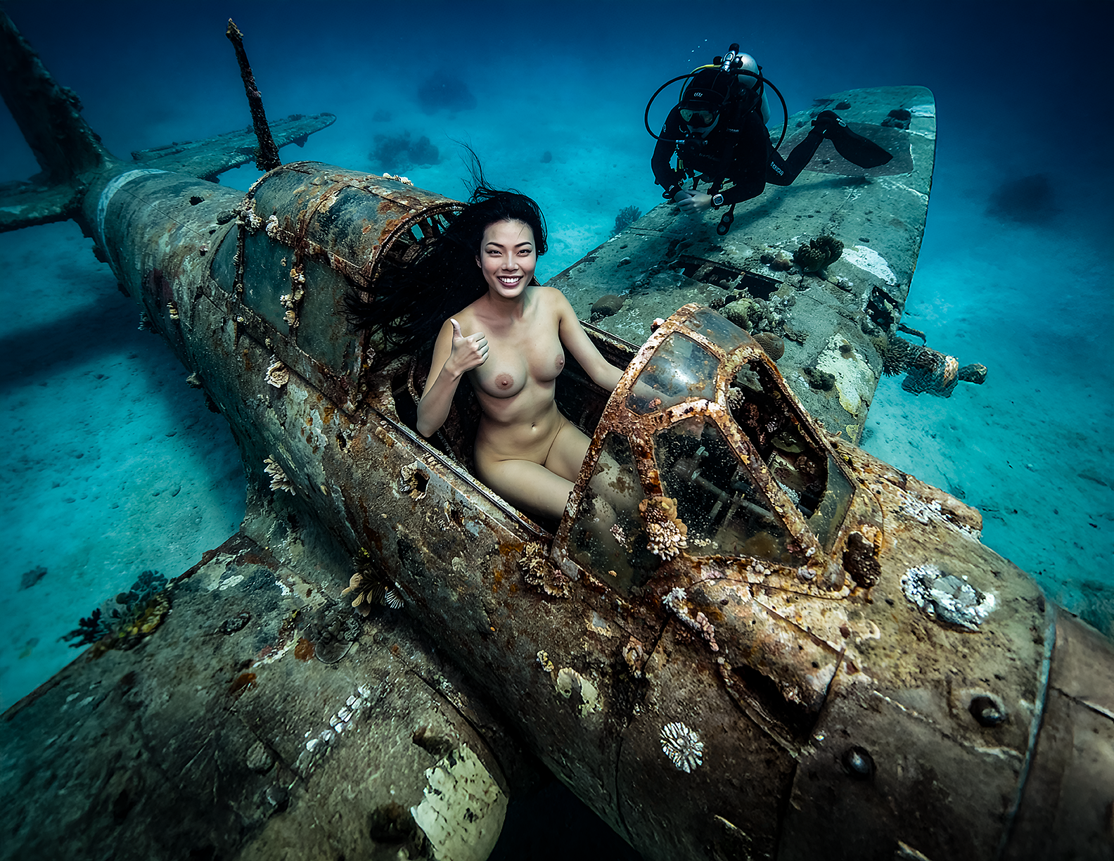 Winney Airplane Wreck 2 72.png