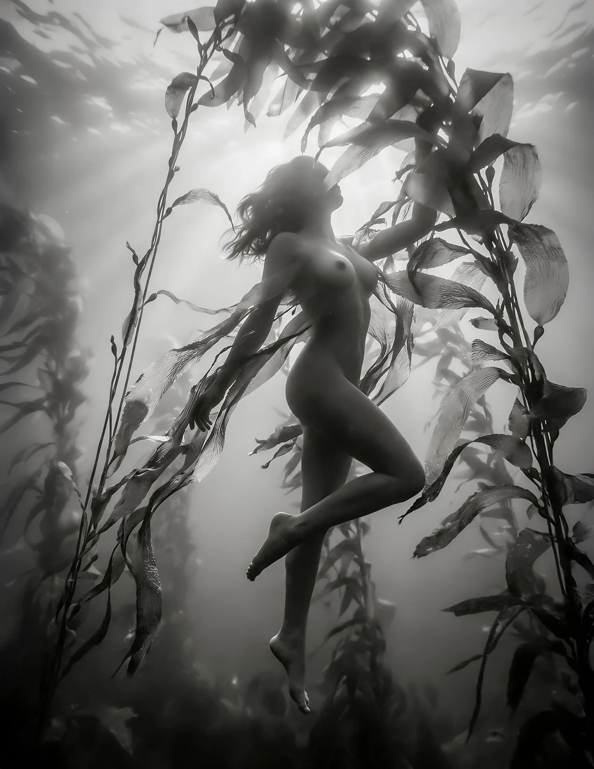 Madison Kelp Nude BW 3 72.jpg