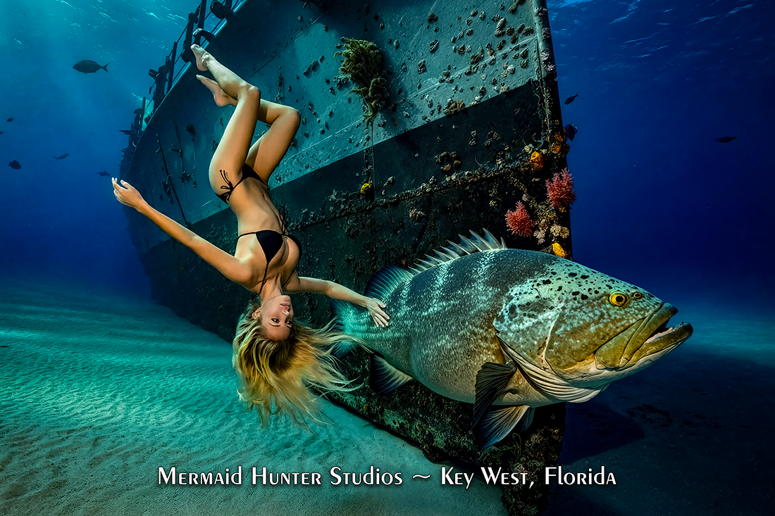 Poster Avalone Jewfish 1.png