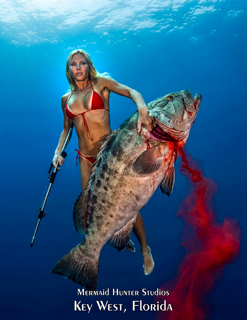 Mini Poster Jewfish 13