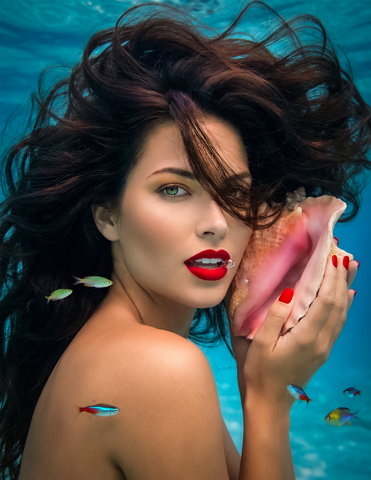 Ariel UW Conch 1 72.png