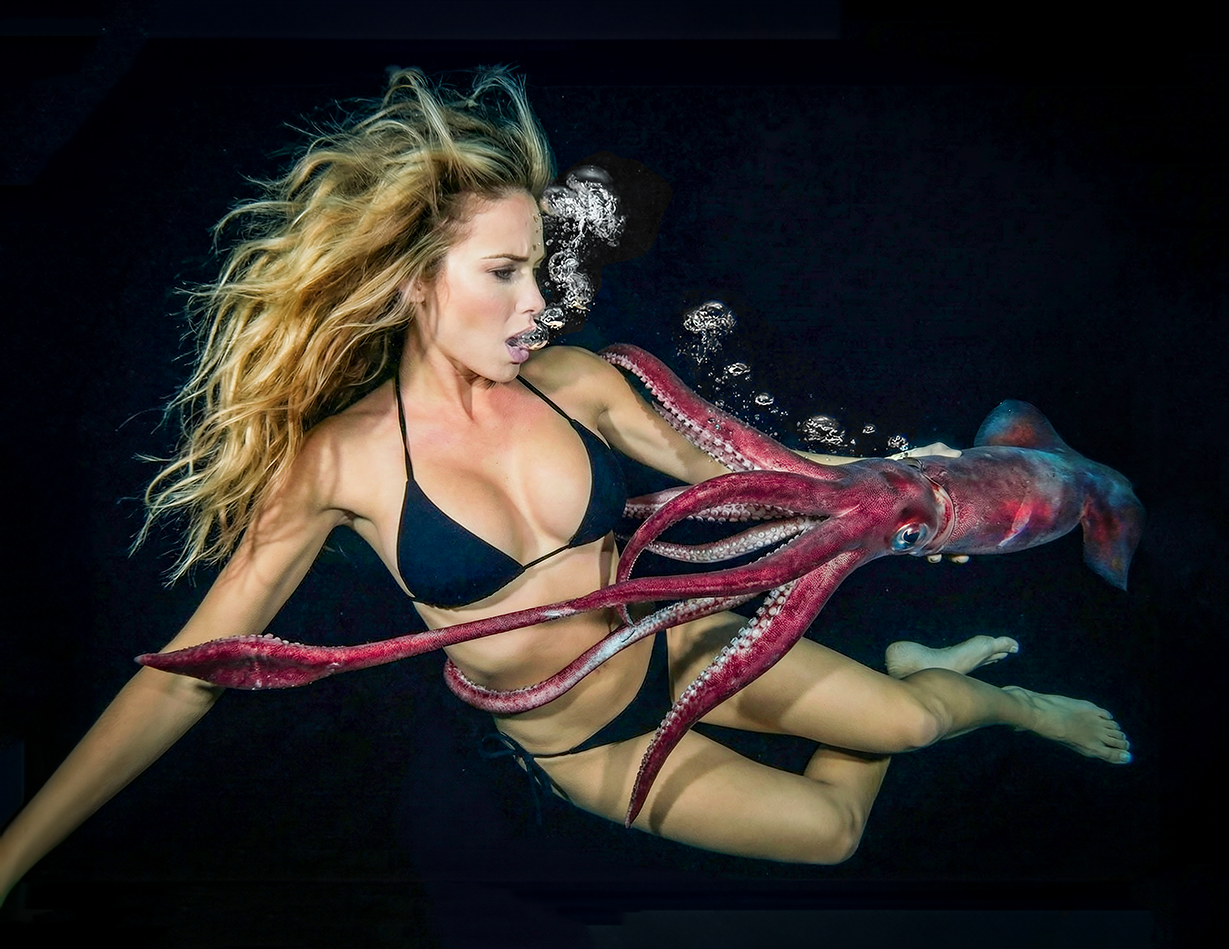 Avalon Squid L.png