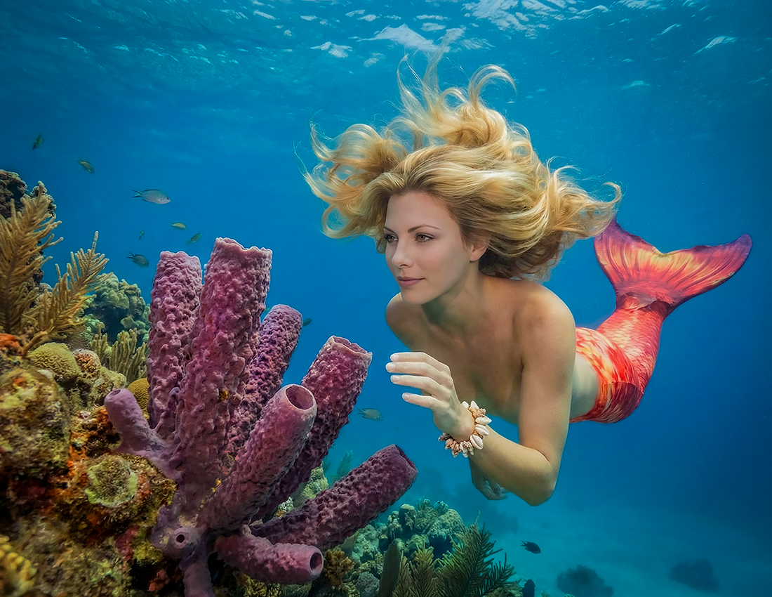 Alison Mermaid w Tubesponges.png