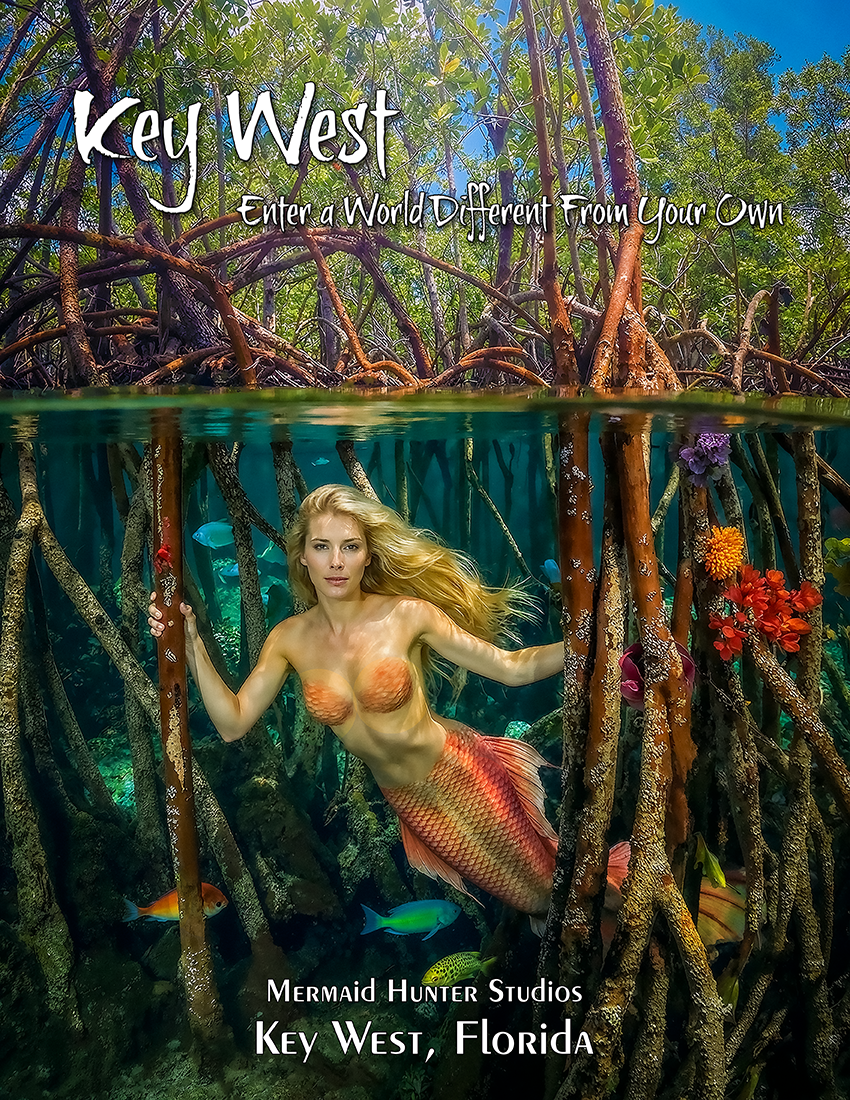 Mini Poster Mangroves 1 KW