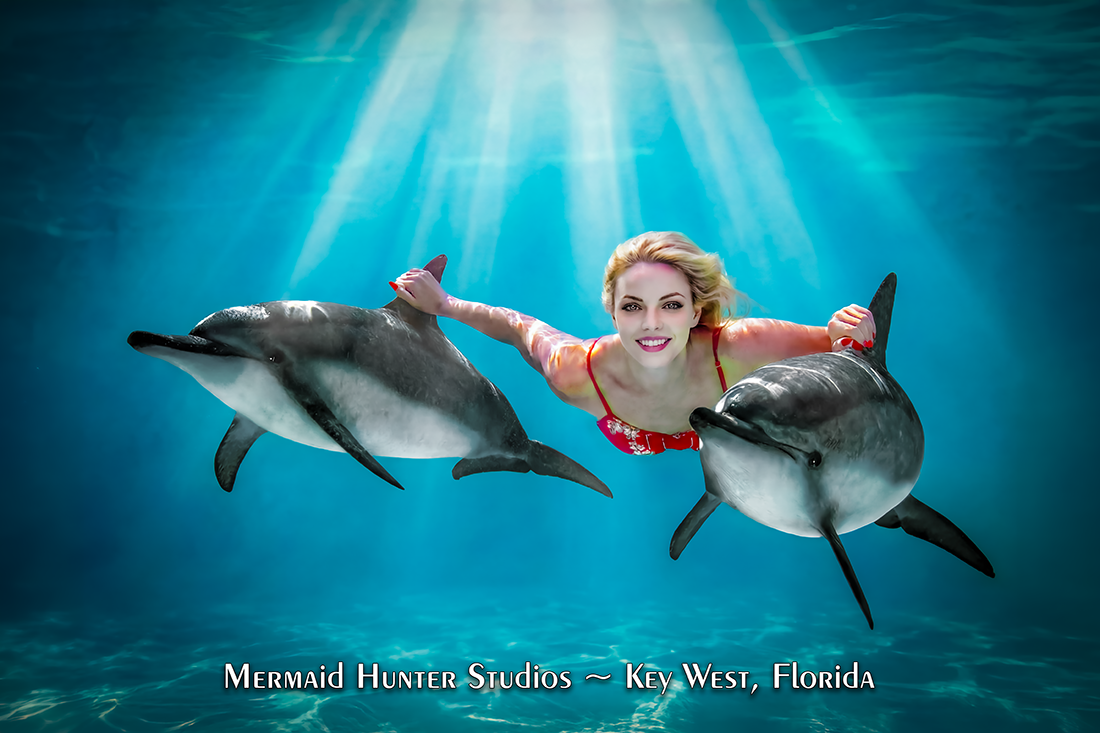 Poster Dolphin 29.png