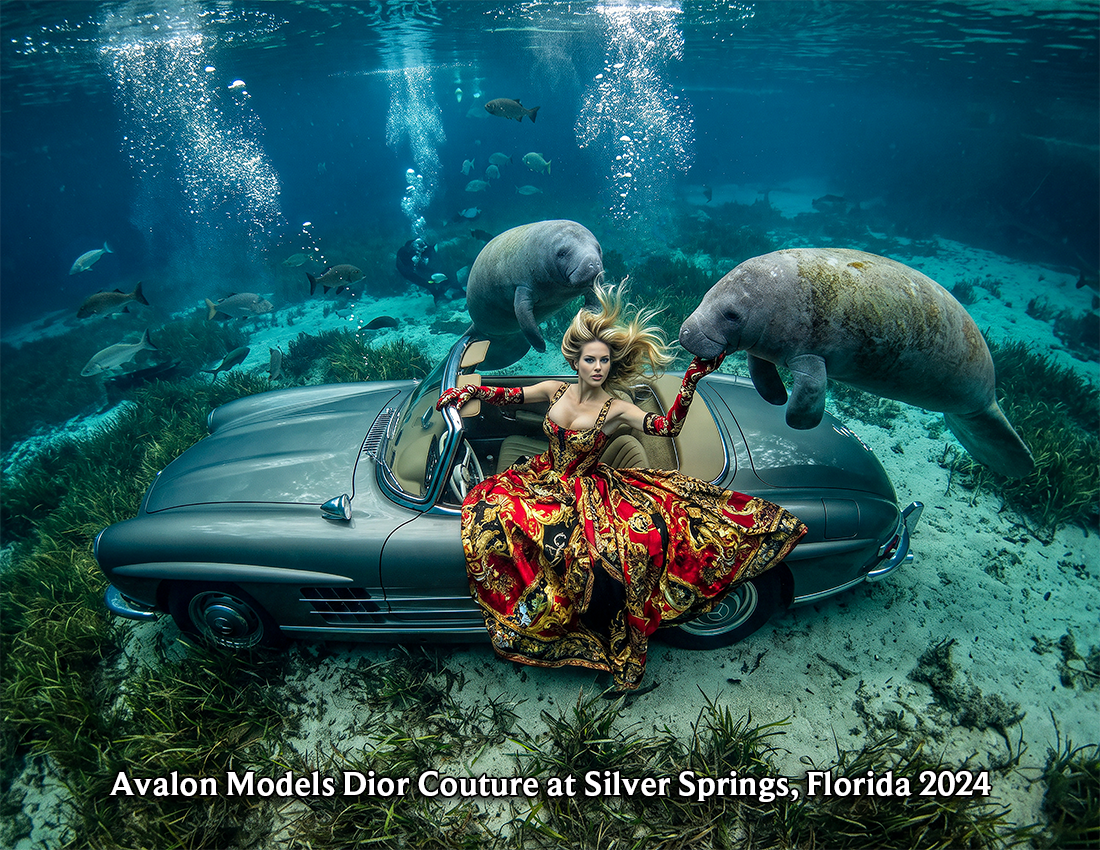 Avalon UW Car Manatee 50.png