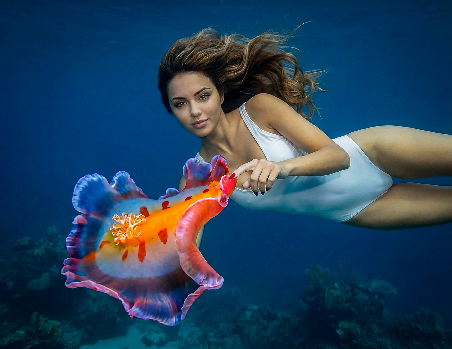 Spanish Dancer 1.png