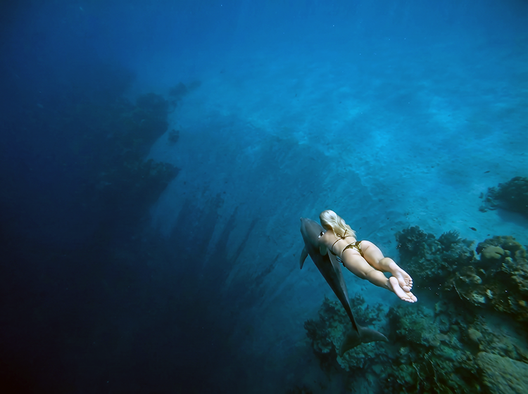 magnific_no-bubbles.-dolphin-and-m_2951120818.png