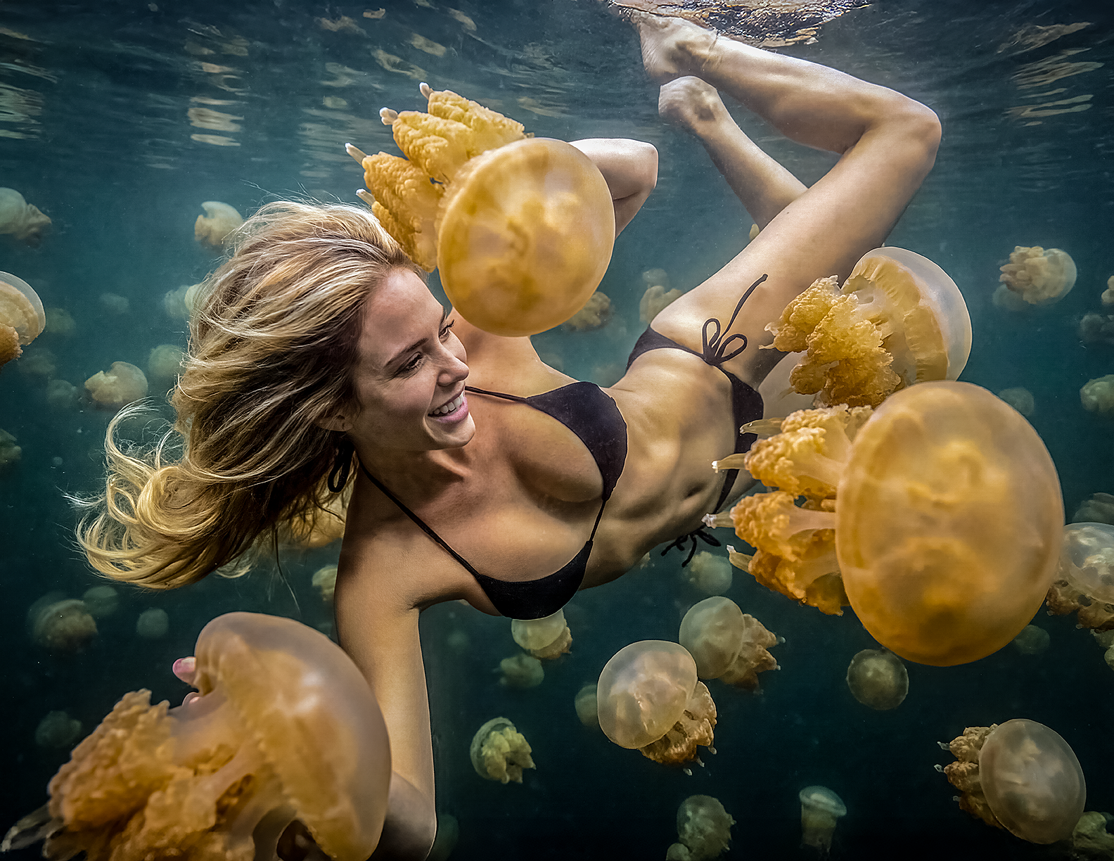 Avalon Jellyfish 2.png