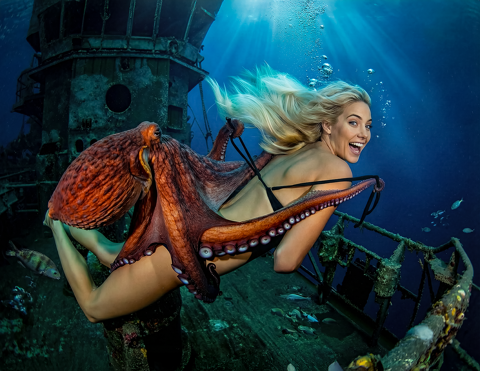 Avalon Octopus 1.png