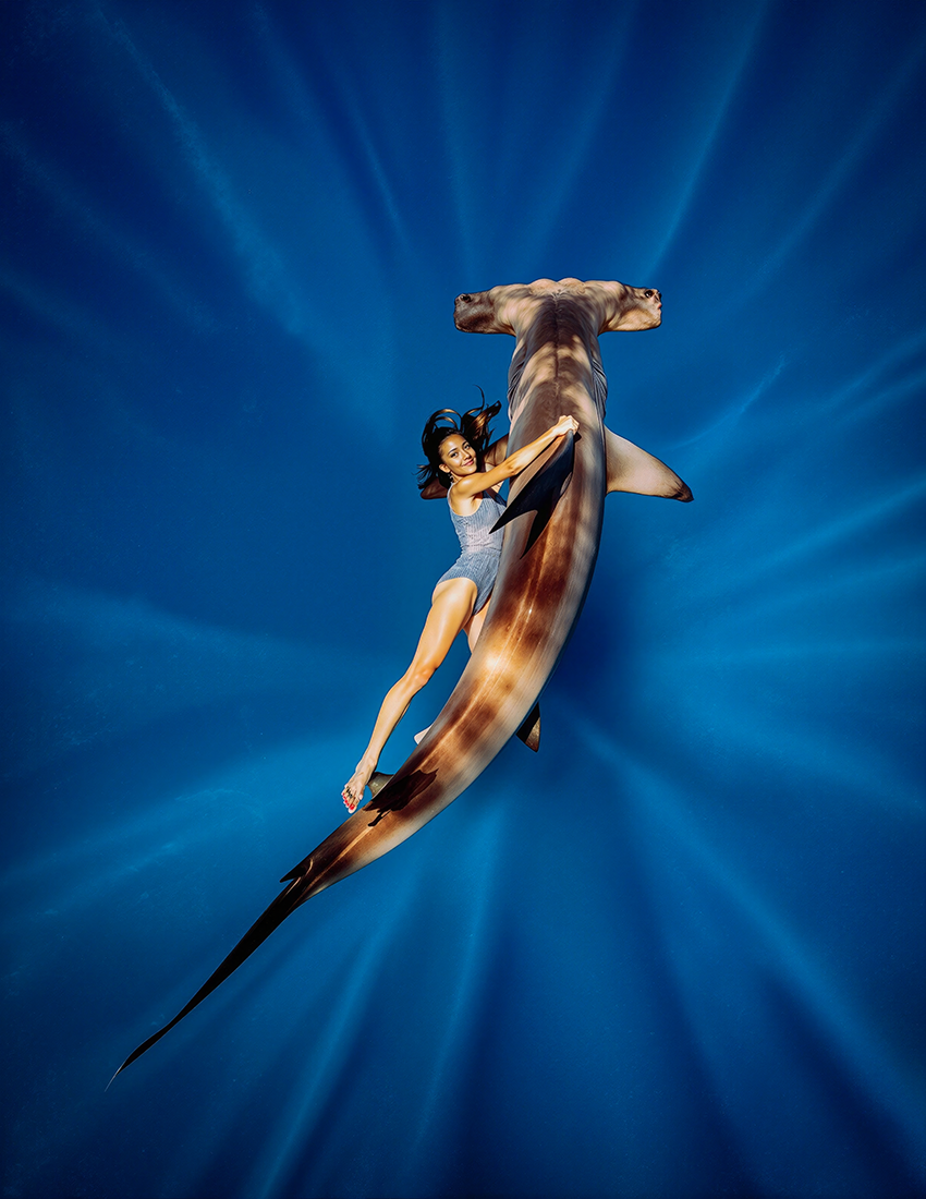 Shark 7.png