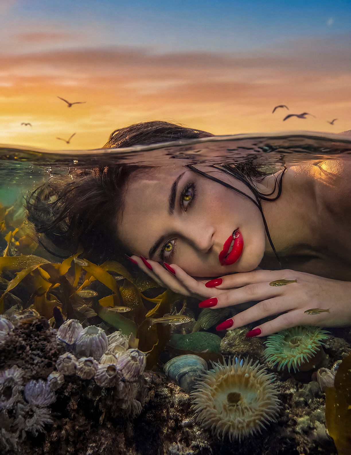 Ariel Tidepool 1 72.png