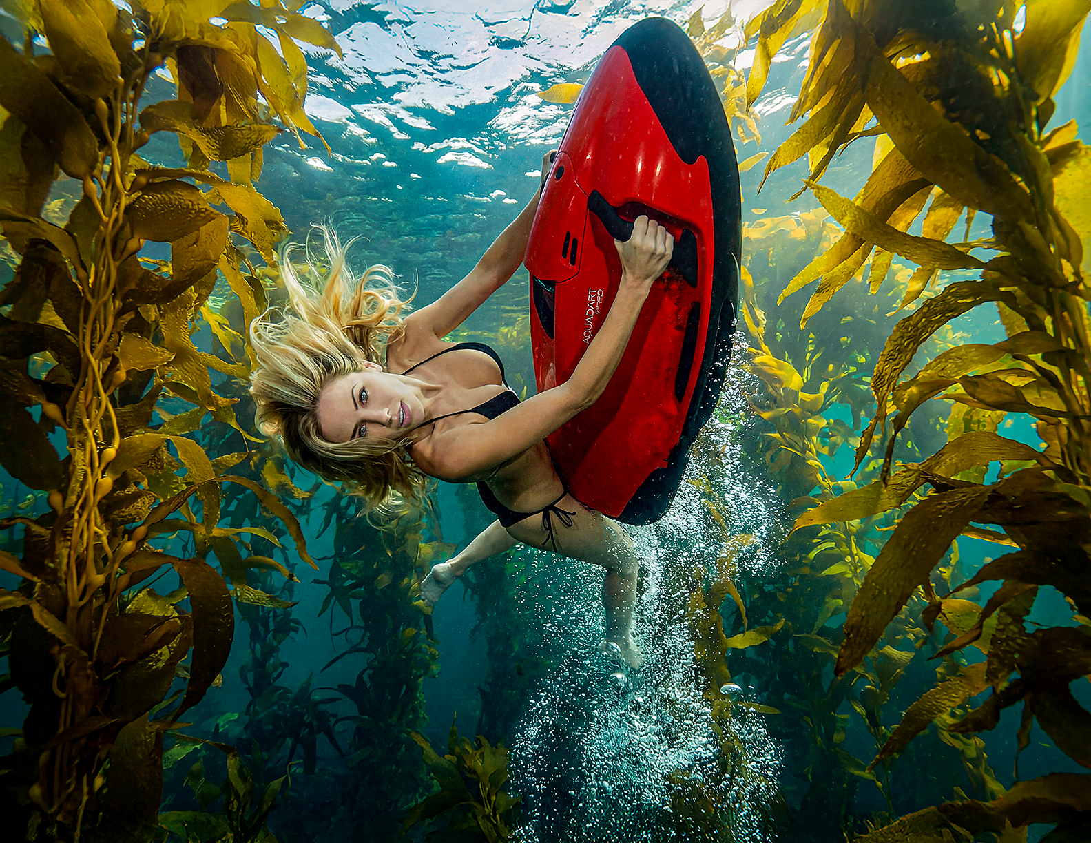 Avalon UW Scooter 2.png