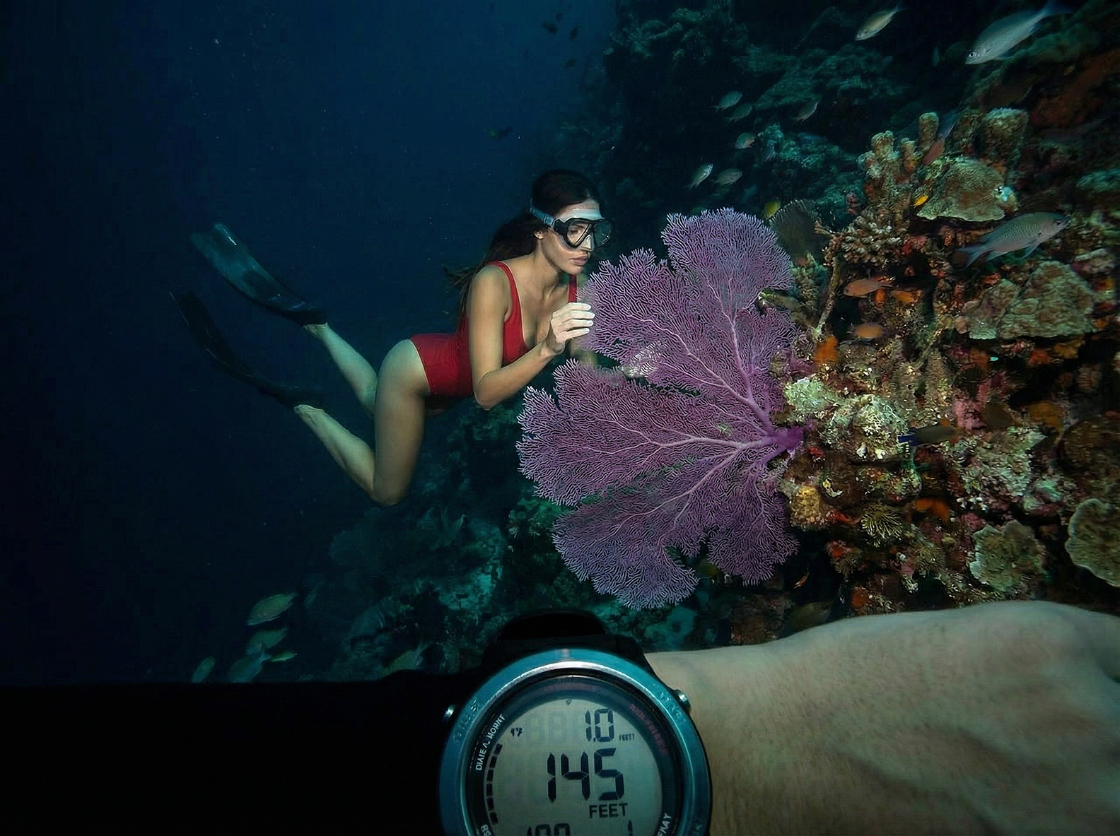 freepik__img1-is-freediving-at-great-depths-as-she-examines__22394.png
