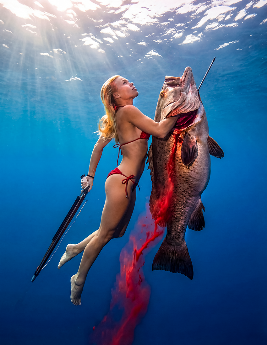 Jewfish 14.png