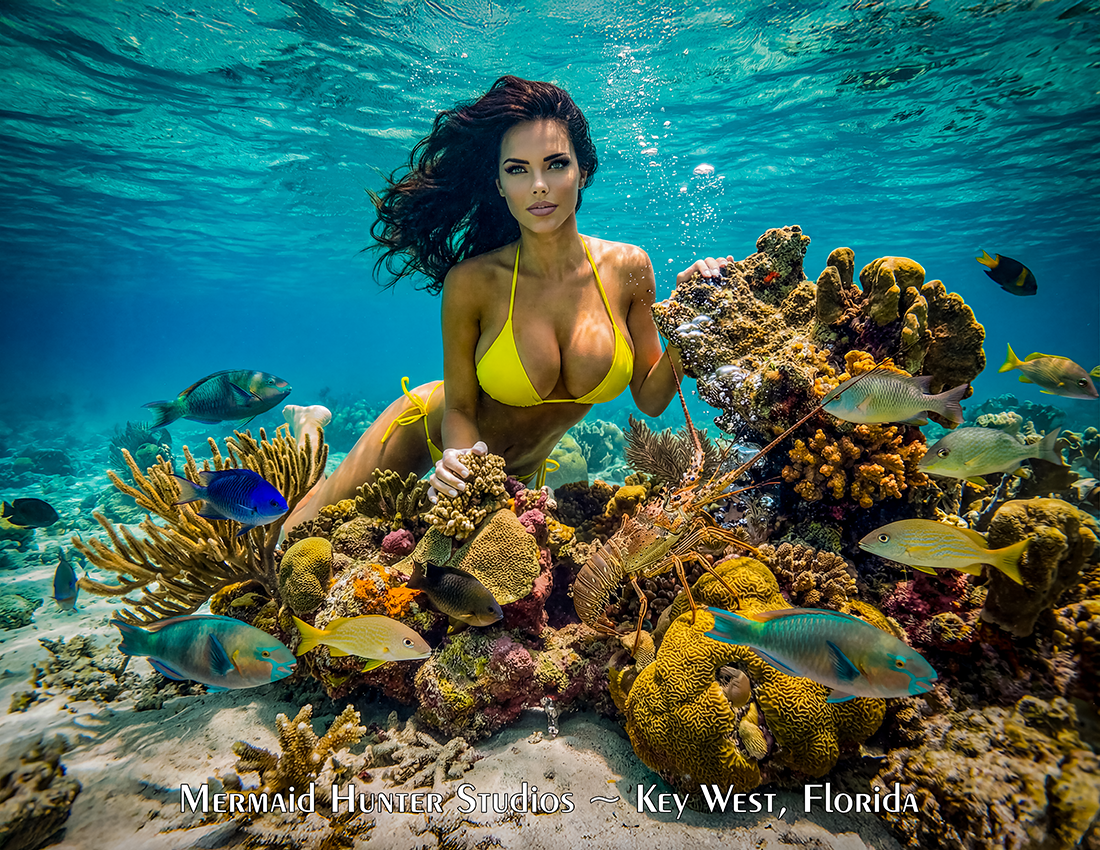 MiniPoster Reef Girls 40.png