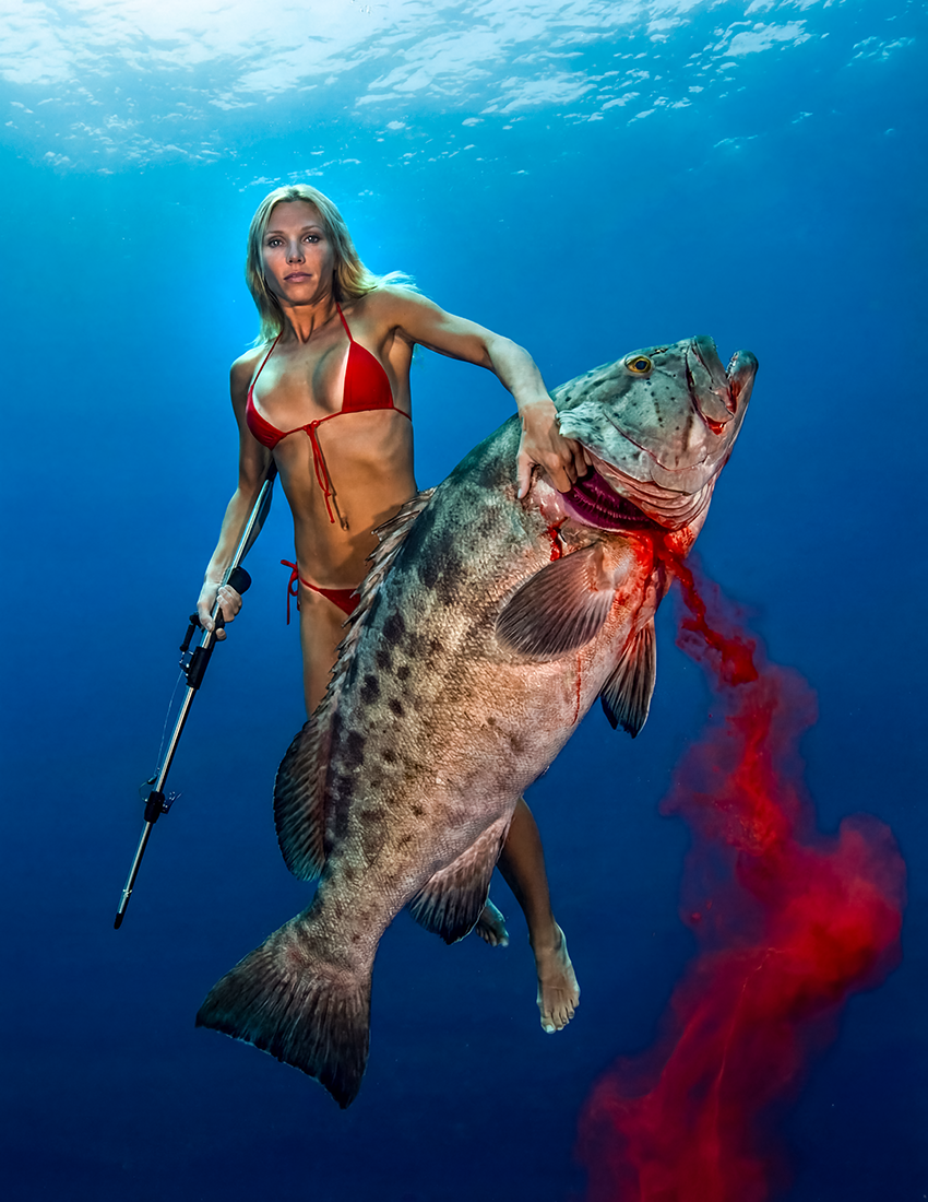 Jewfish 13.png