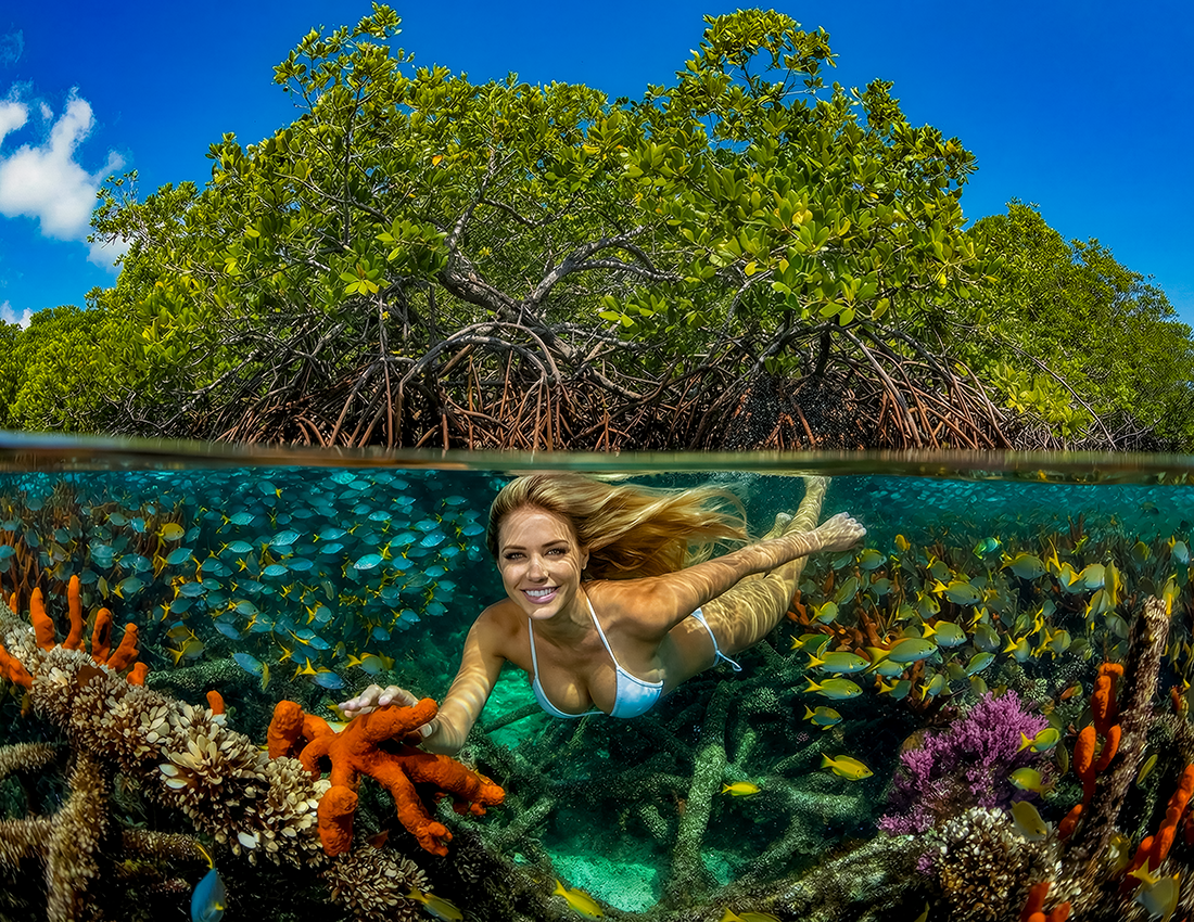 Mangroves 15.png