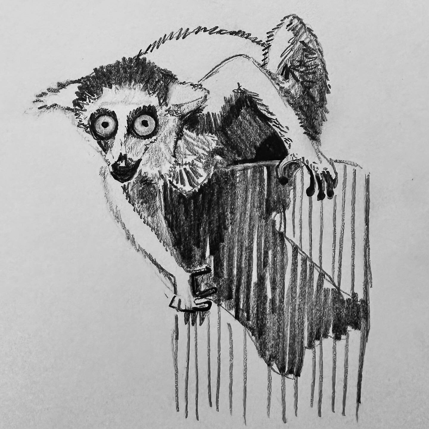 A big thank you to Pan from @greendoorstudios for a fun multi-block linocut workshop earlier this week. I took some drawings of the gorgeous lemurs from @peakwildlifepark to play around with. Looking forward to cutting out some more blocks and playin