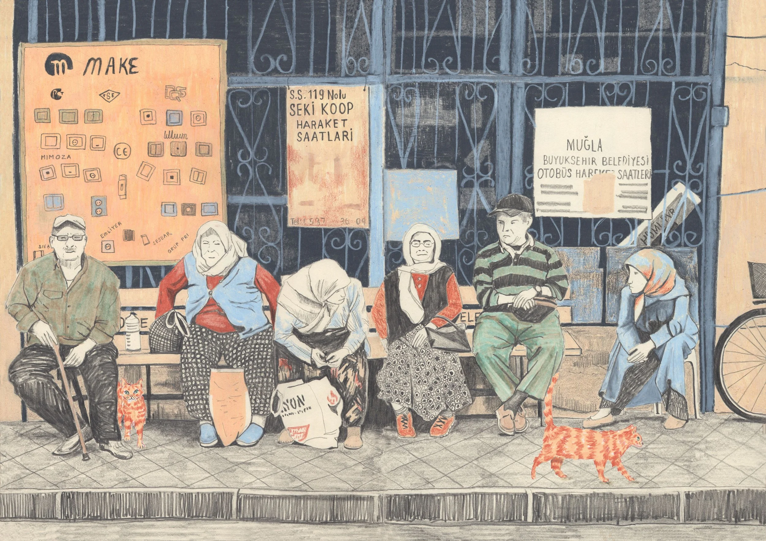 Katie may illustrator - Kedi about Town - editorial and illustration
