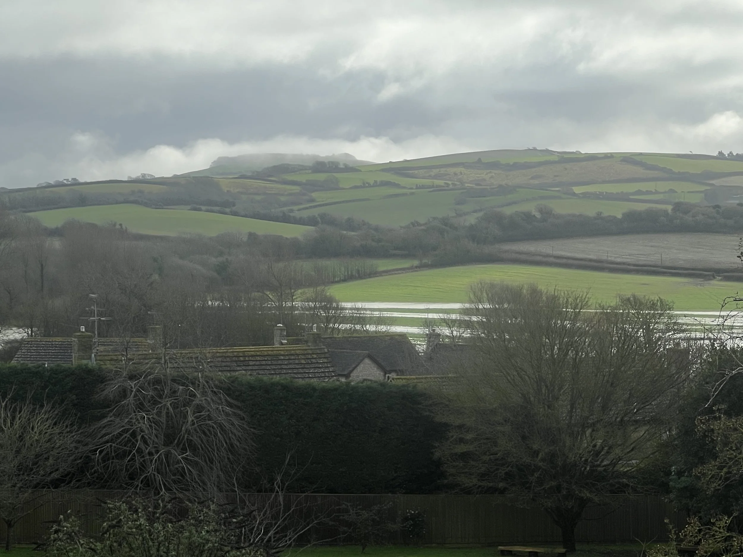 Fowl Weather or Writer’s Weather?