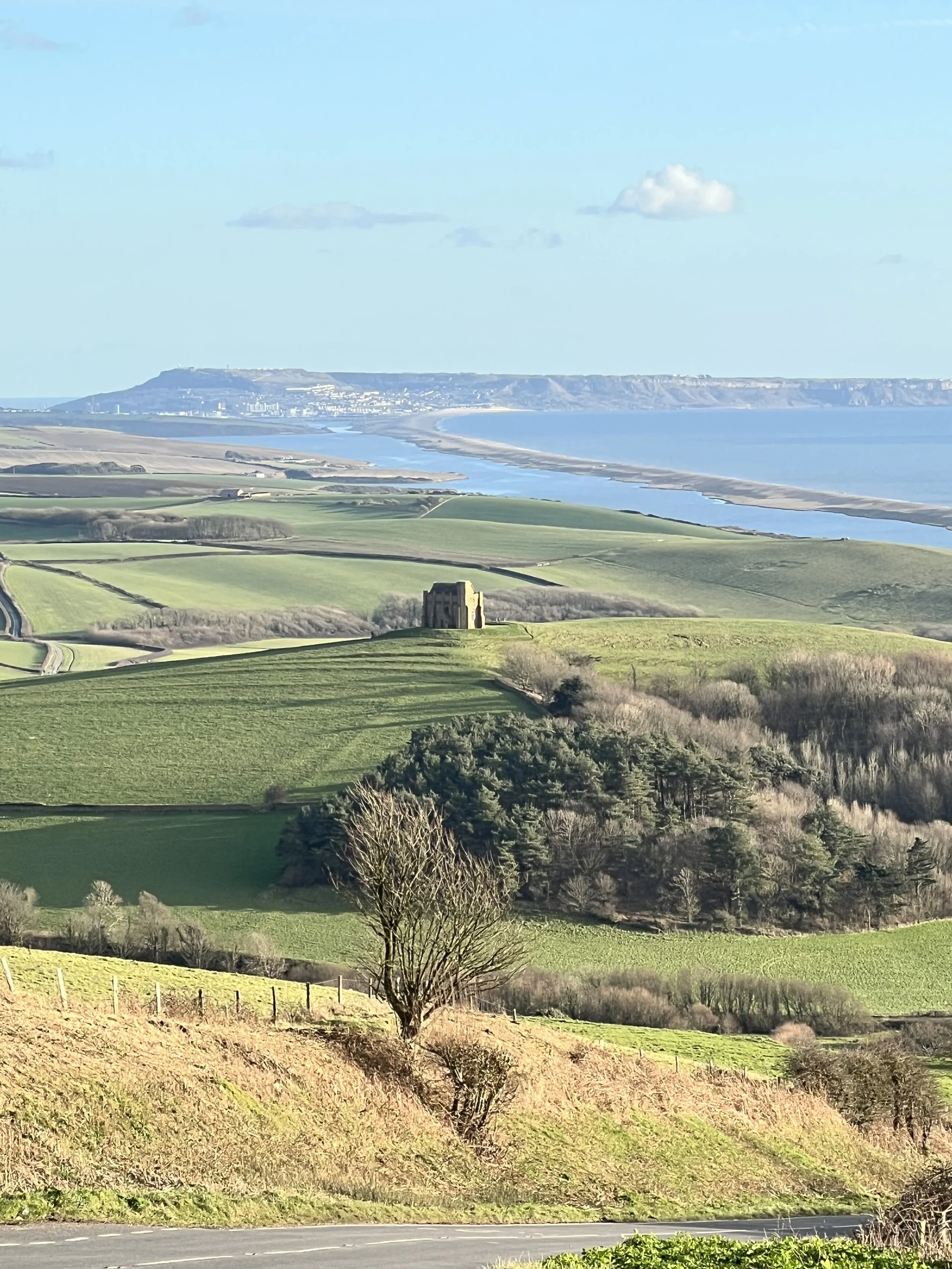 The Winter Newsletter