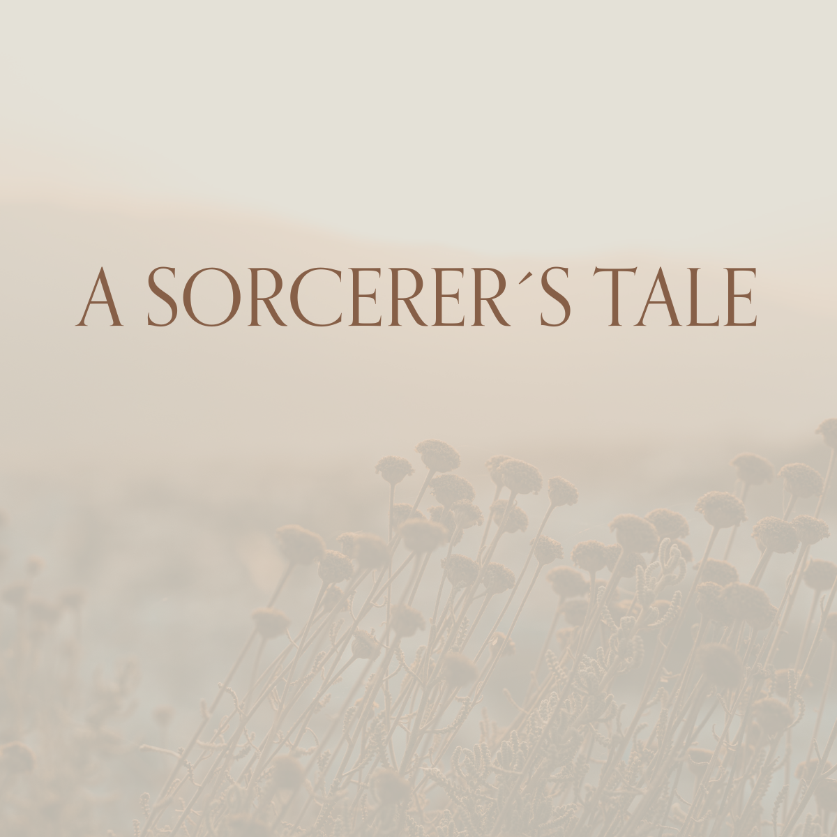 A SORCERER´S TALE