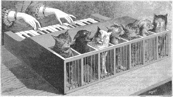 Cat-piano-La-Nature.png.webp