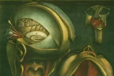 Tarot Anatomy: Arcana & the Body as a Sacred Vessel for Intuitive Work at the Philosophical Research Society, beginning August 9