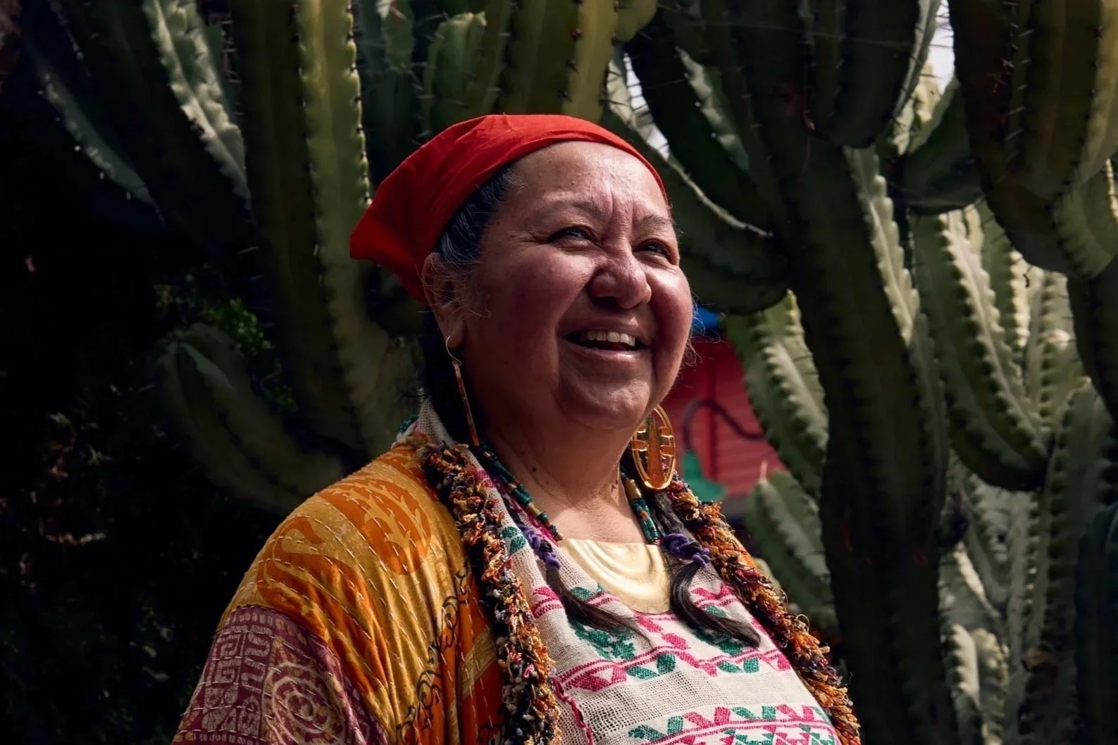 Mapping the Sacred: An Introduction to Curanderismo and Earth-Based Wisdom with Reina Prado, October 25
