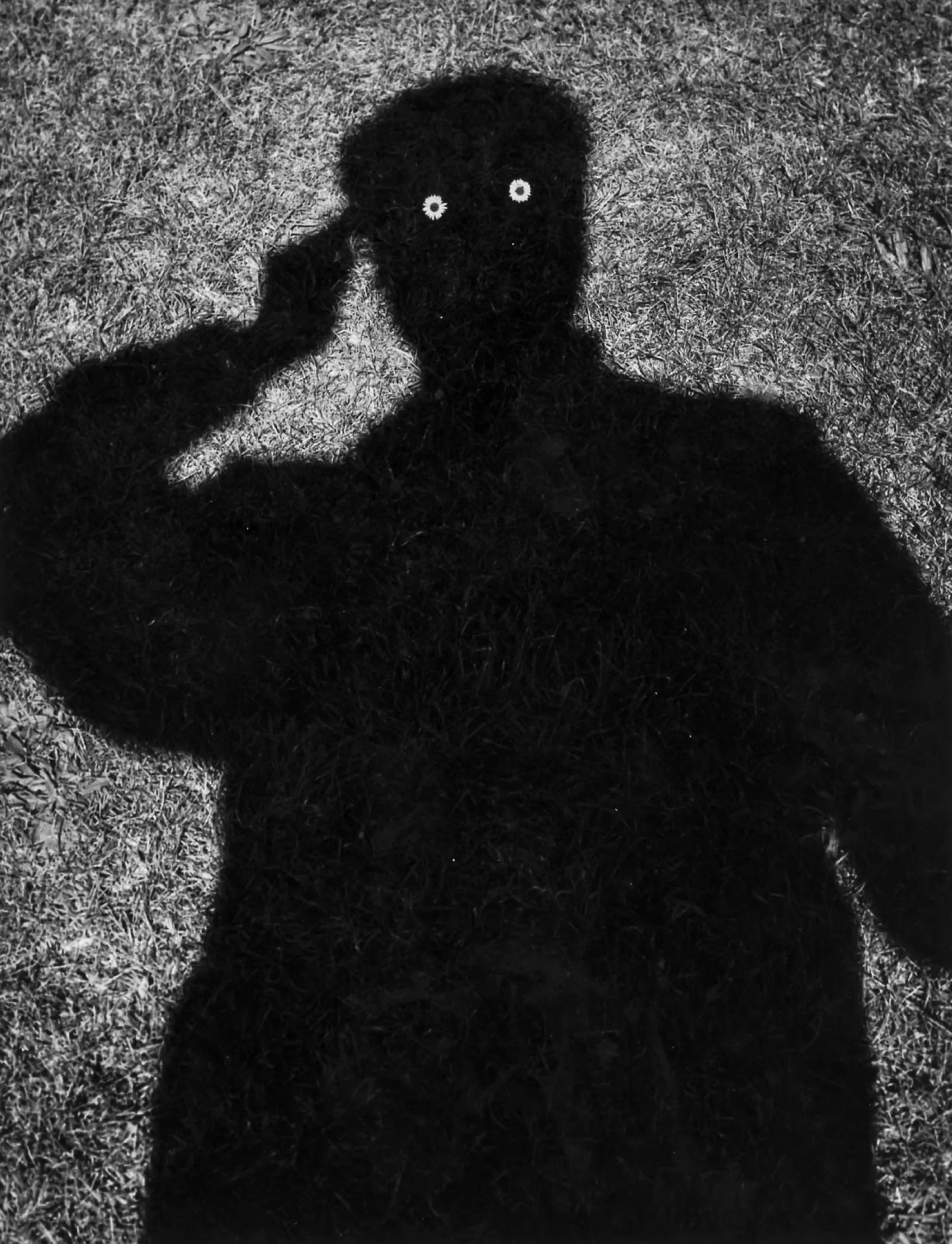 image 13 'Author'  pic -  Dr. S. D. Jouhar - Self Shadowgram, 1958 by kind permission of the estate of Dr Jouhar .jpg
