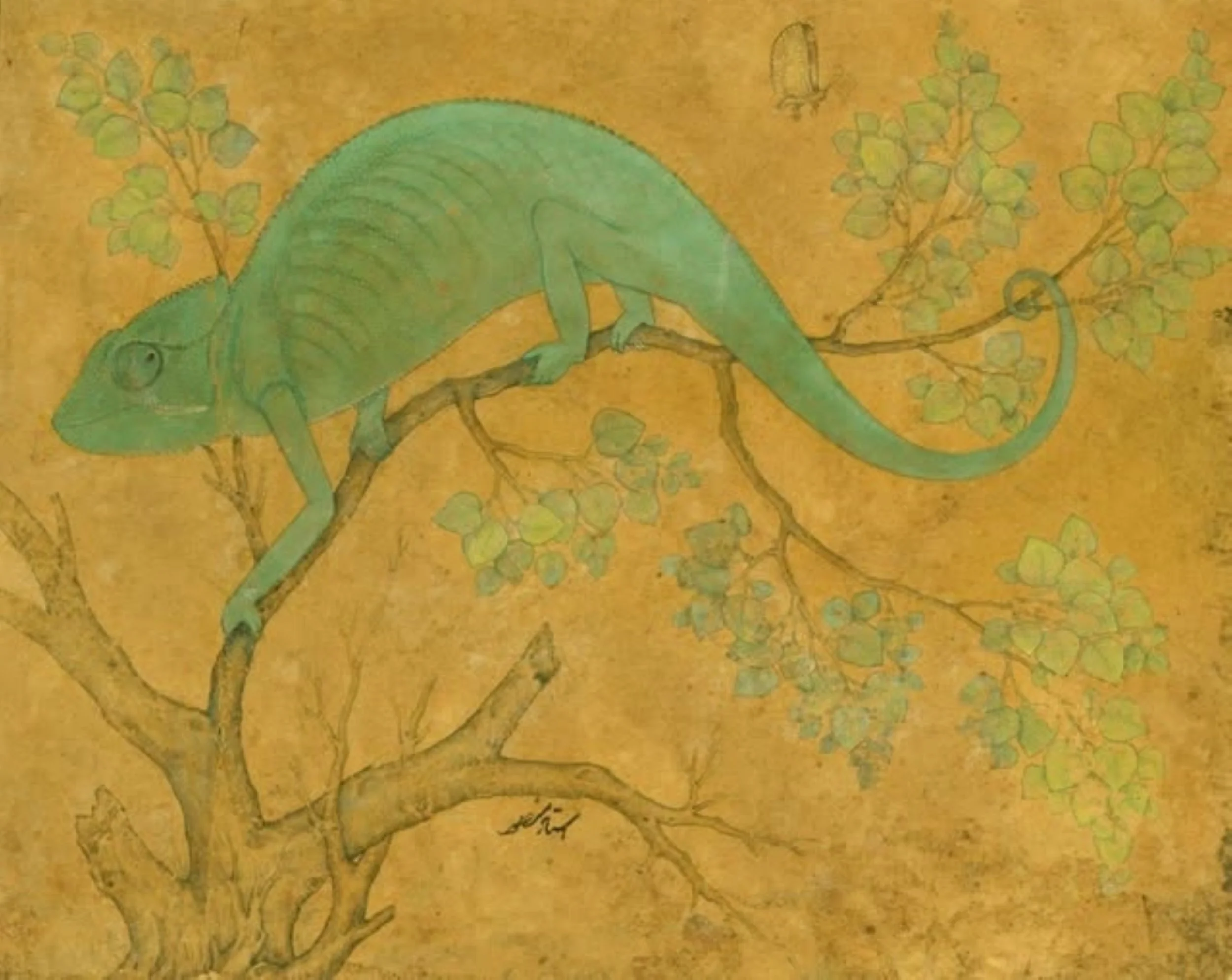 image 7 Chameleon -  Ustad Mansur (active ca. 1600-20) , A Chameleon , 1612 , Brush and ink with green bodycolour on discoloured paper 11.0 x 13.8 cm (sheet of paper) The Royal Collection, Windsor.jpg