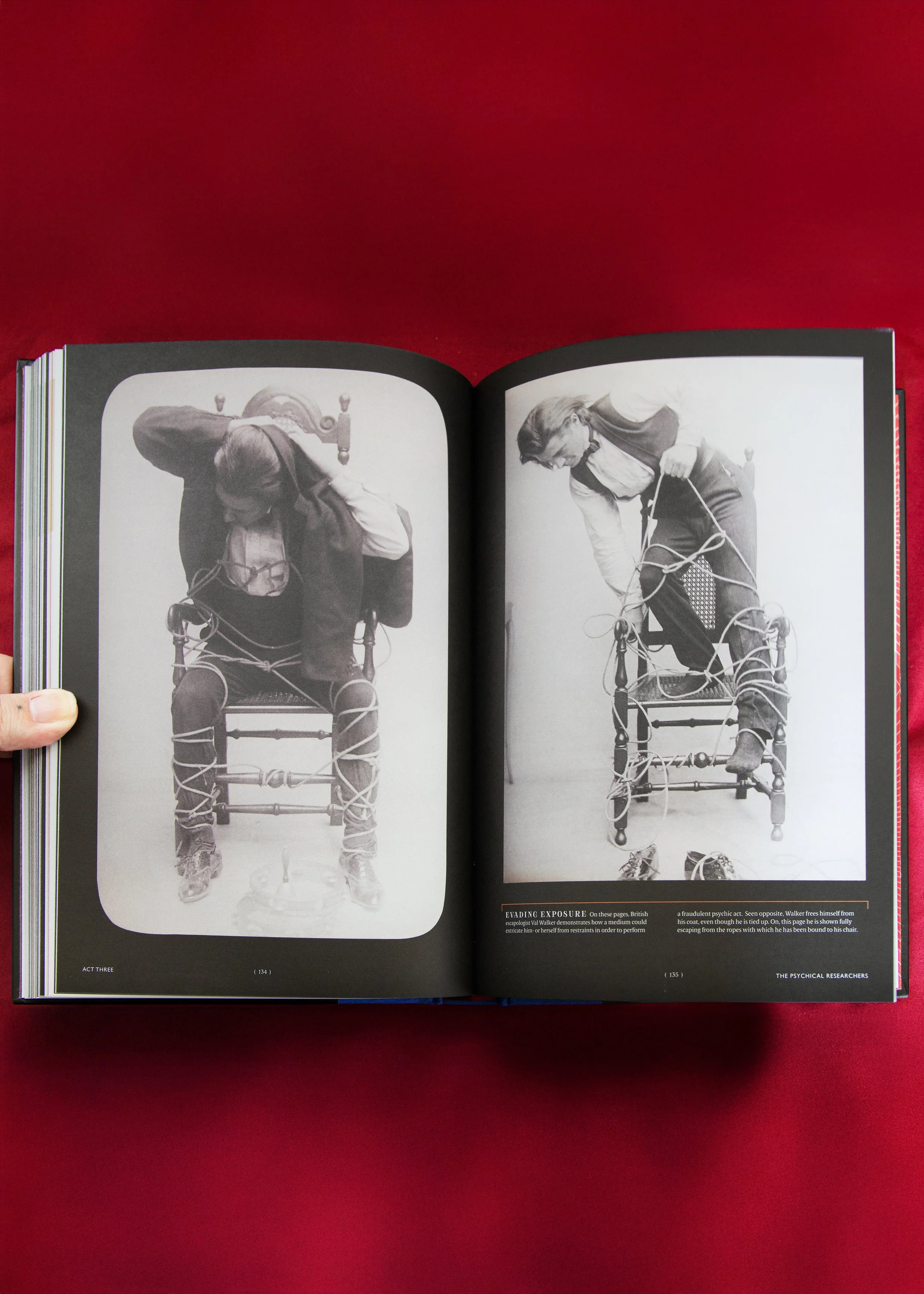 The Spectacle of Illusion 05.jpg