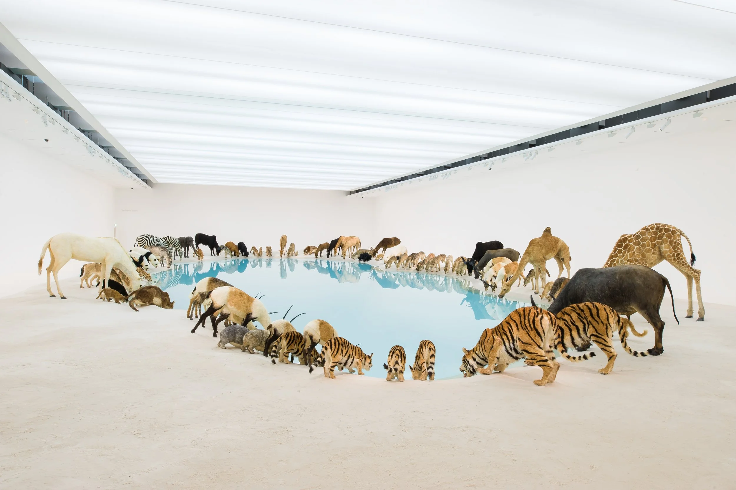 image 9 - Cai Guo-Qiang, Heritage , Installation, 2013, Queensland Gallery of Modern Art, Australia © Cai Guo-Qiang & Queensland Gallery of Modern Art, Australia.jpg