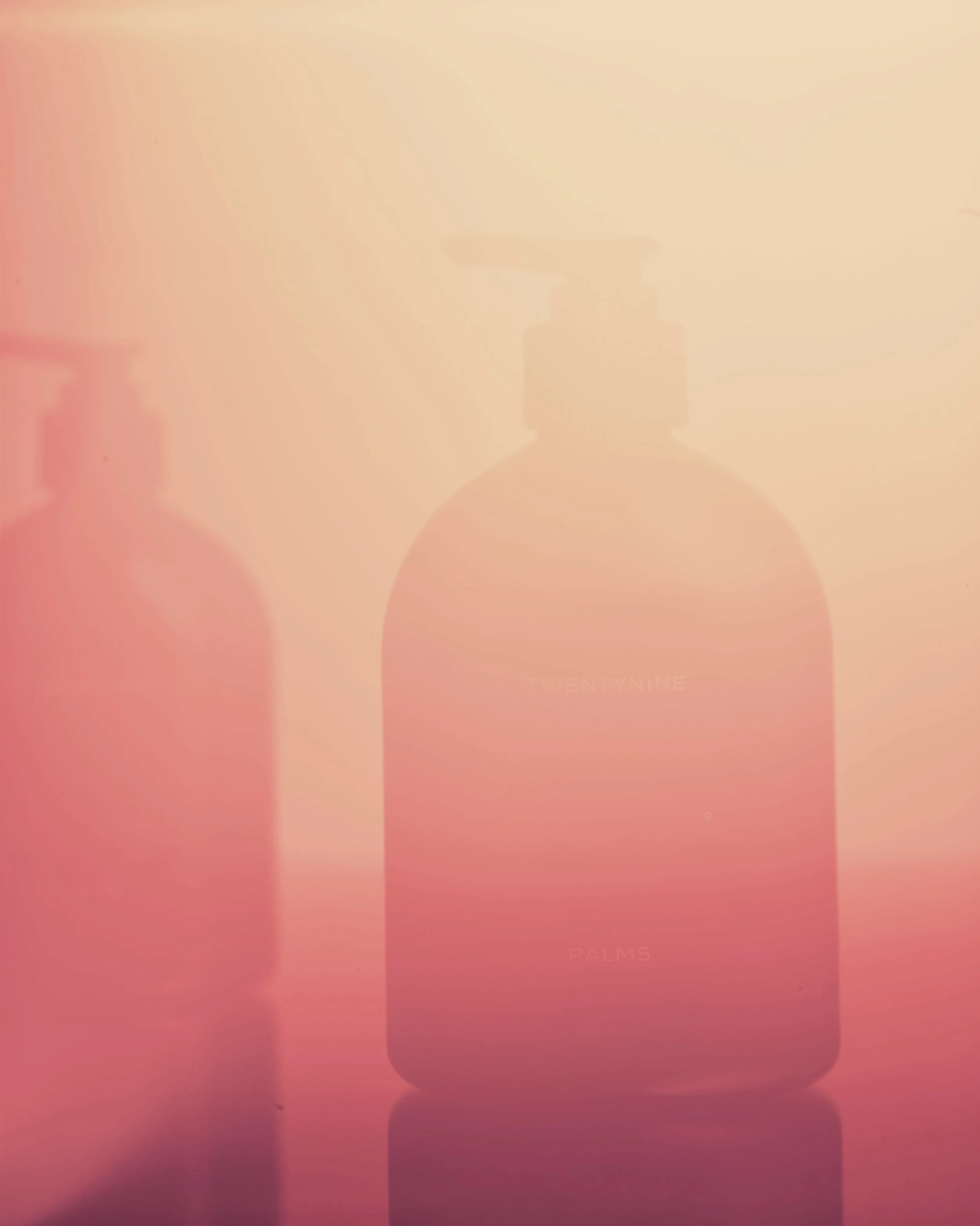 TWENTYNINE PALMS / BOTTLE PACKAGE DESIGN / 2023