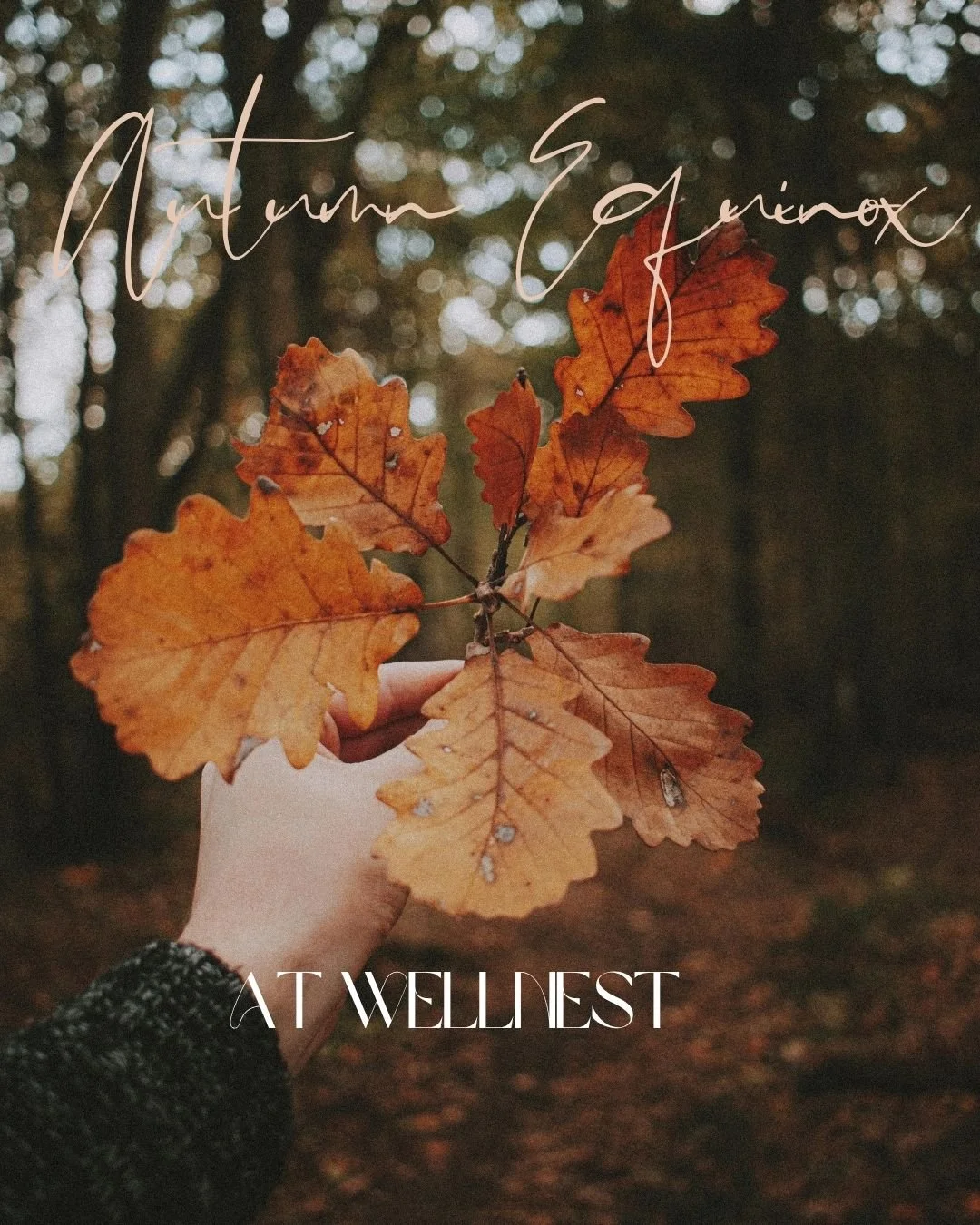 Autumn Equinox