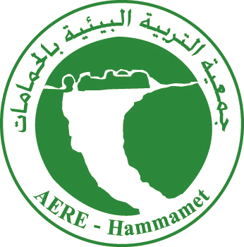 aere_logo_oppure.png